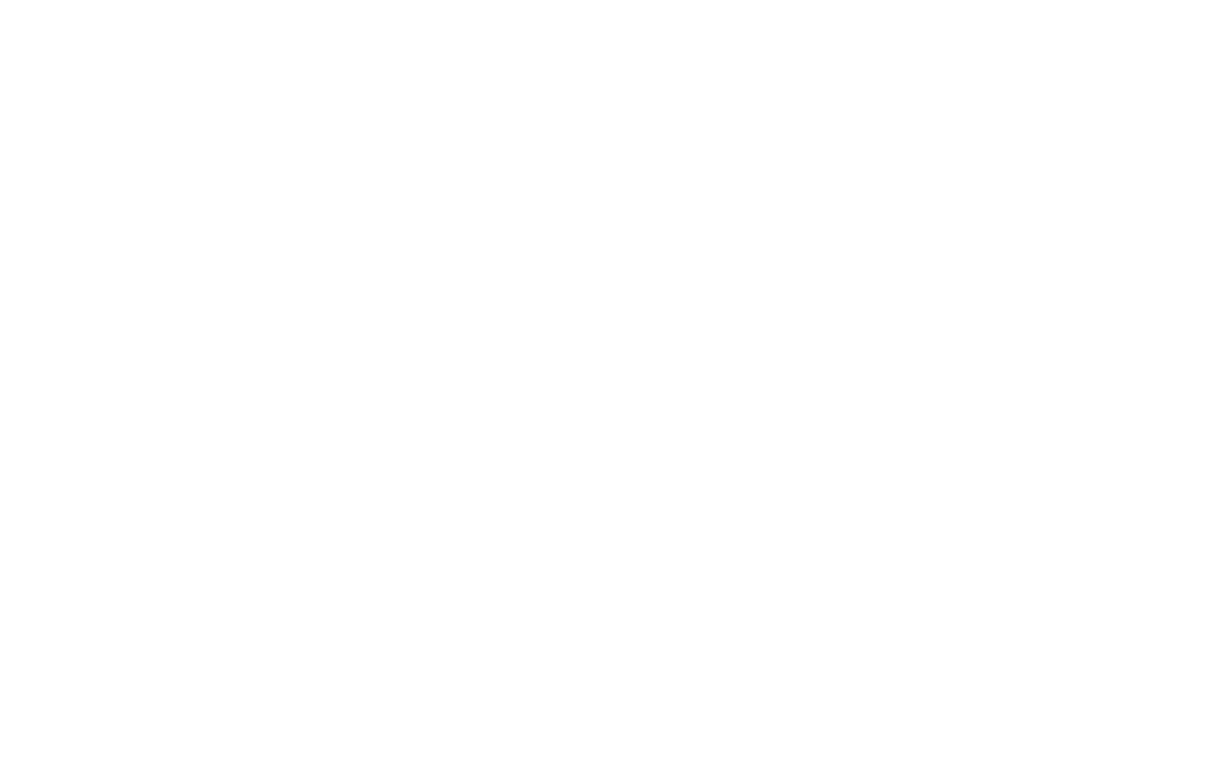 Dina Carvalho Fotografia