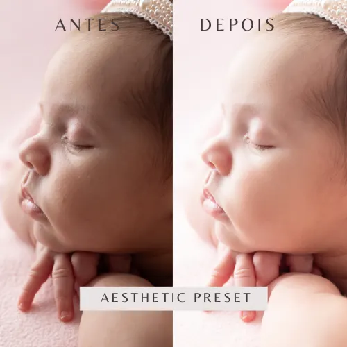 Aesthetic Presets - Dina Carvalho