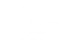 Logo Dina Carvalho Fotografia